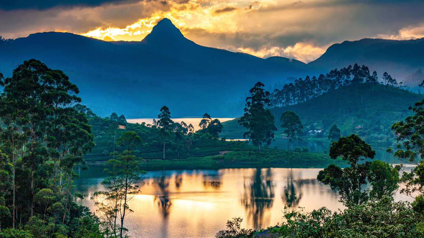 panorama of the tea plantations at sunset – Sri Pada peak in the