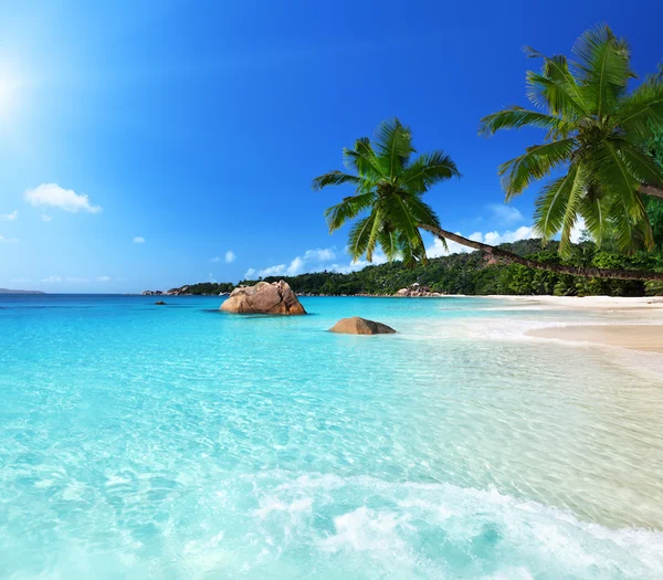 Beaches