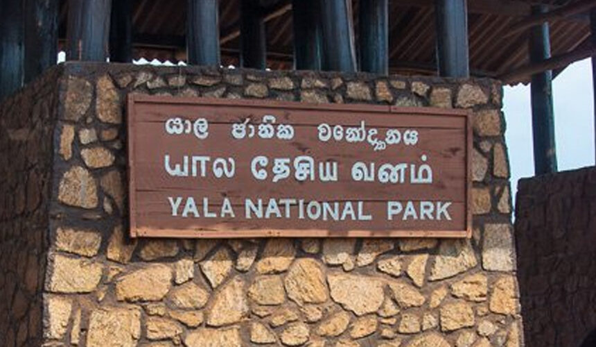 Yala Safari Day Trip Sri Lanka