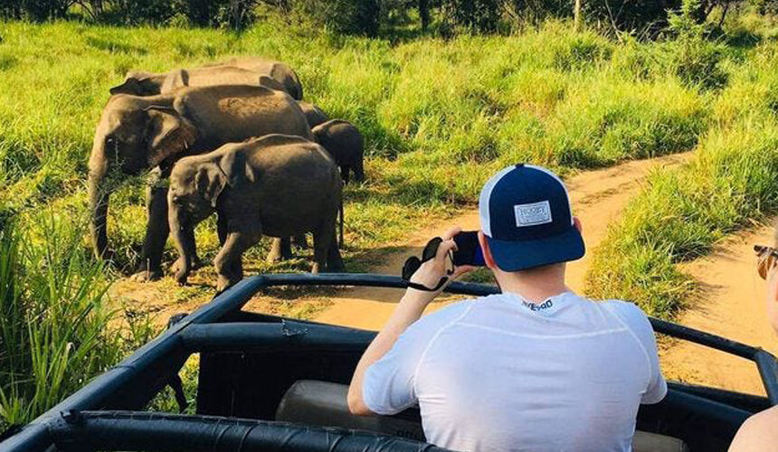 Day Tour Wilpattu National Park Sri Lanka (Jeep Safari)