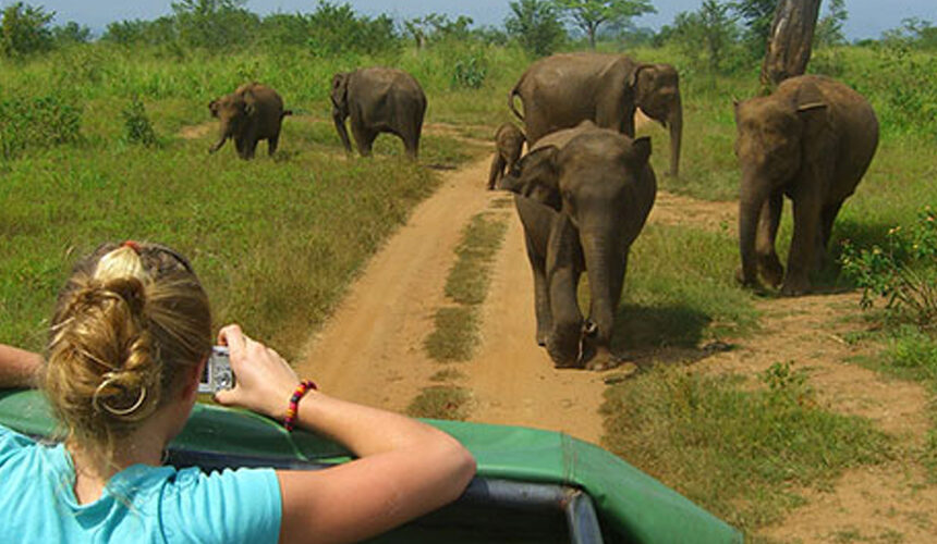 Day Tour Udawalawe National Park Sri Lanka